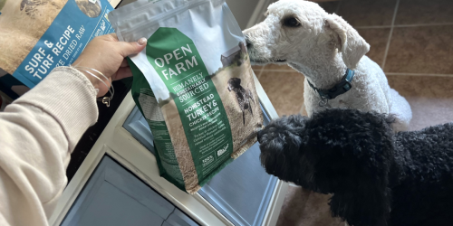 Open Farm Delivers the Most Nutritious Pet Food (+ Save 25% Off Dry Dog & Cat Food)