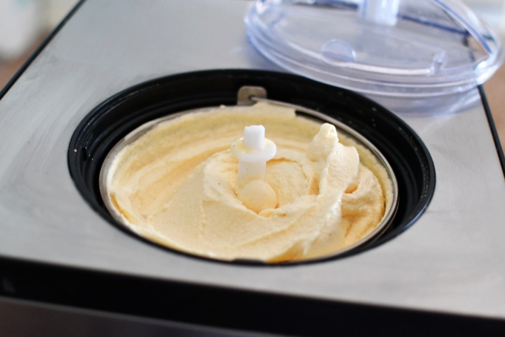 eggnog ice cream in whynter ice cream maker