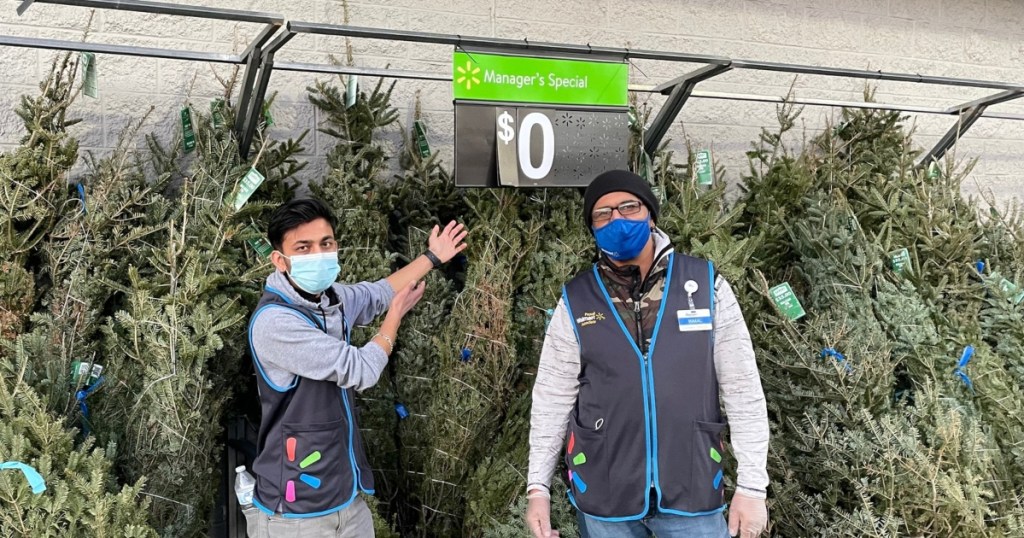 2 Walmart associates in front of free live Christmas trees