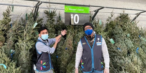 FREE Live Christmas Trees at Select Walmart Locations!