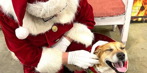 FREE Pet Photos w/ Santa at Petco (Today Only)