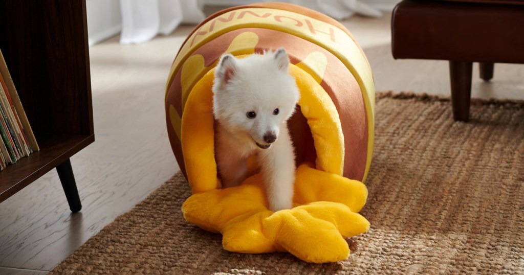 dog inside honey pot pet bed