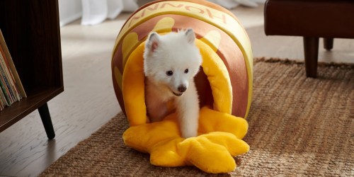 ** Buy 1 Disney Pet Bed, Get 1 FREE Disney Pet Toy on Chewy.com