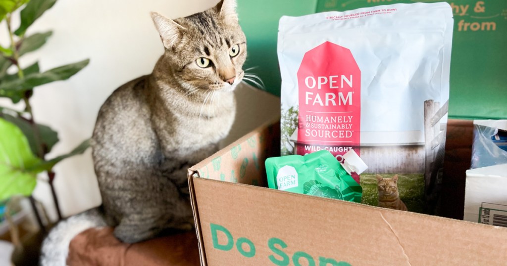 cat next to open farm natural pet food box