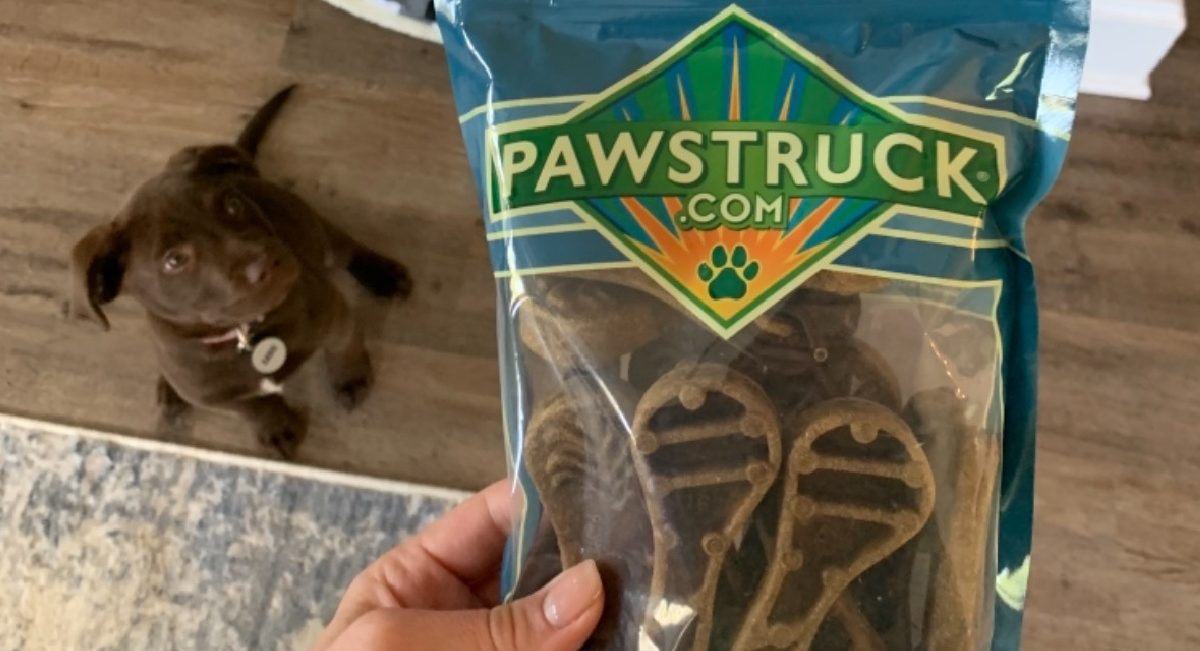 pawstruck chews plus lab