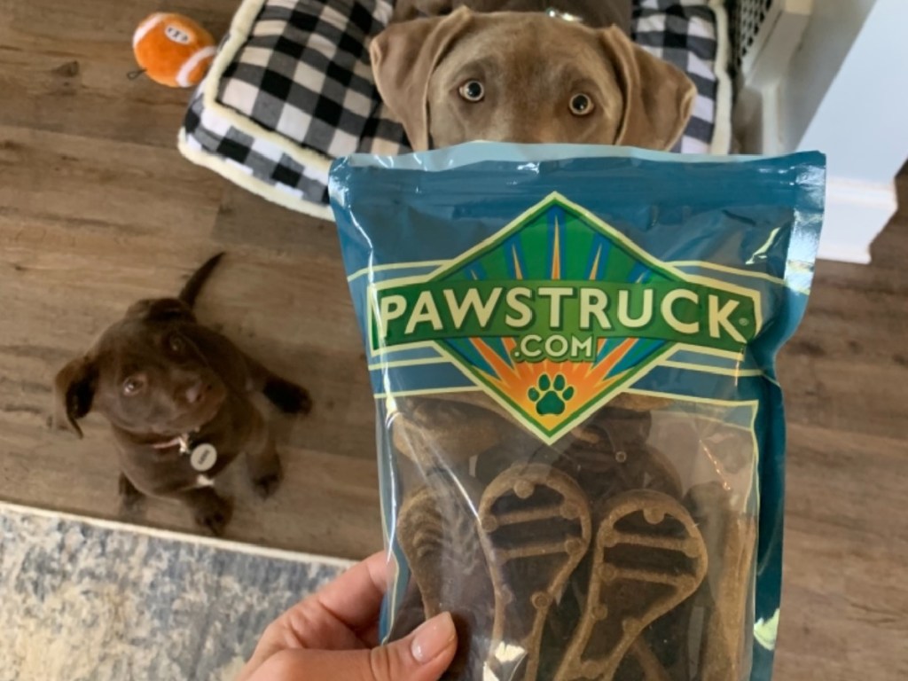 pawstruck chews plus lab