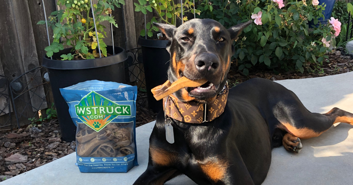 pawstruck dental chews