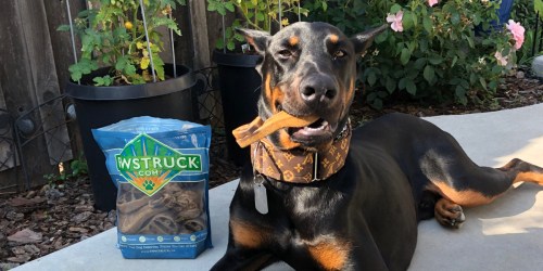 FREE Pawstruck Natural Dental Chews 15-Count Pack (Just Pay Shipping)