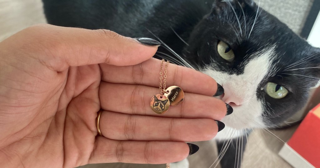 pet necklace with cat