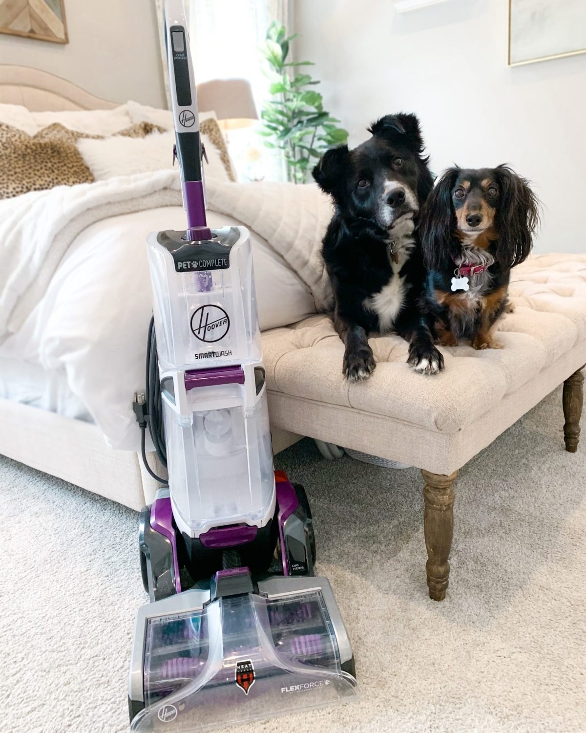 Hoover Smartwash Pet Carpet Cleaner 