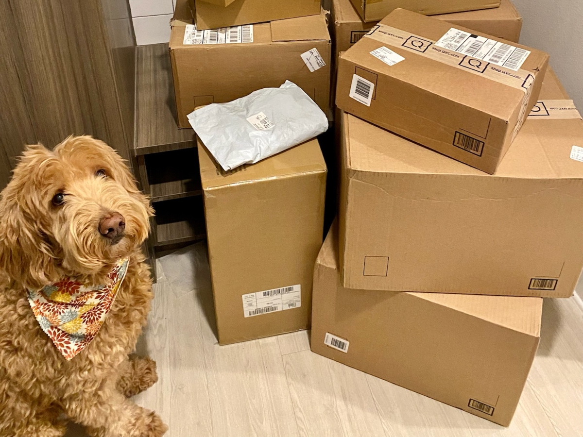 dog next to QVC shipping boxes