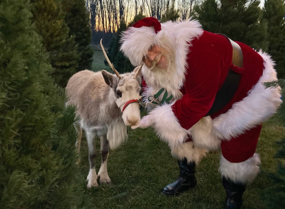 Here’s How to Watch Santa’s Tracker As He Delivers Gifts Tonight