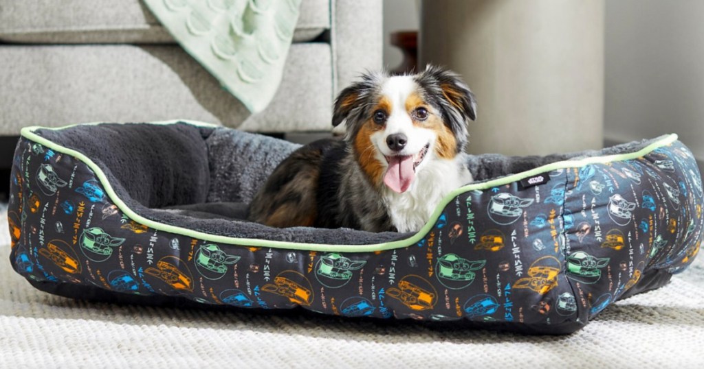 dog laying on star wars print pet bed