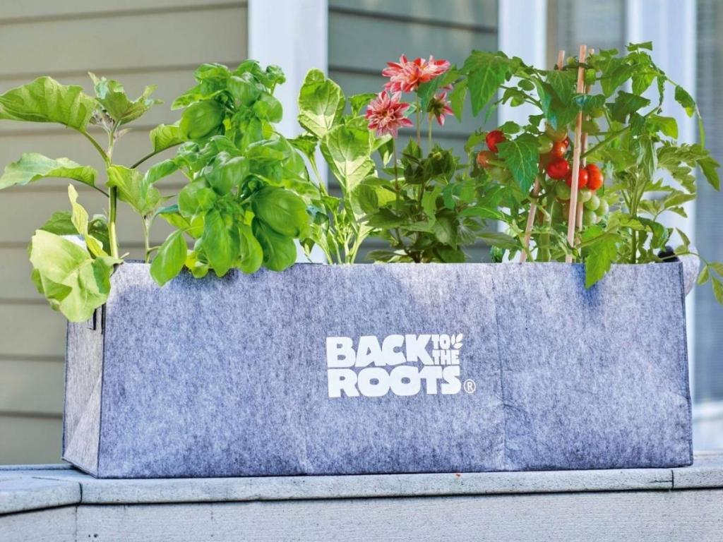 Back to the Roots Fabric Raised Garden Bed Planter