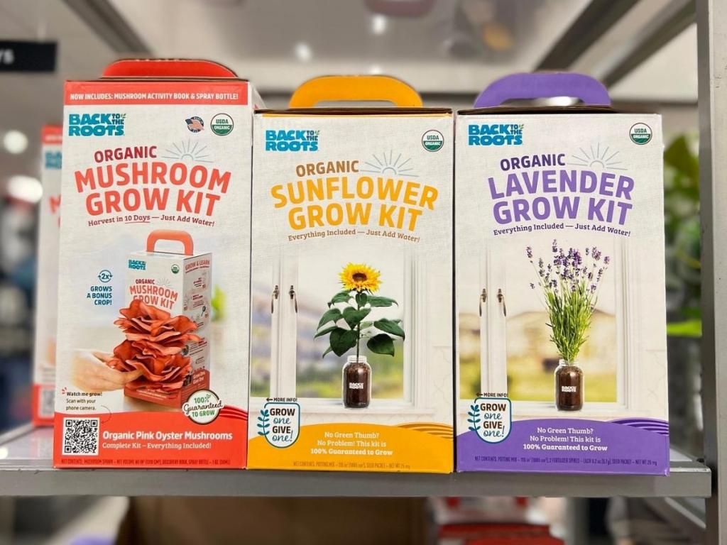 back to the roots mushroom, sunflower, and lavender grow kits