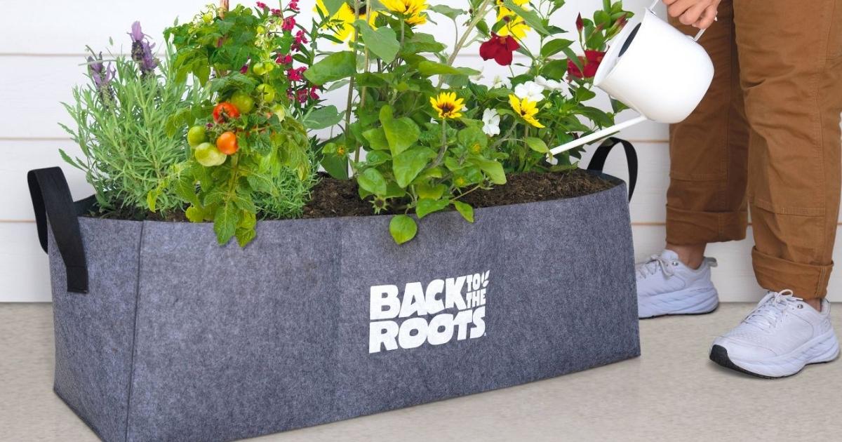 Back to the Roots Fabric Raised Garden Bed Planter
