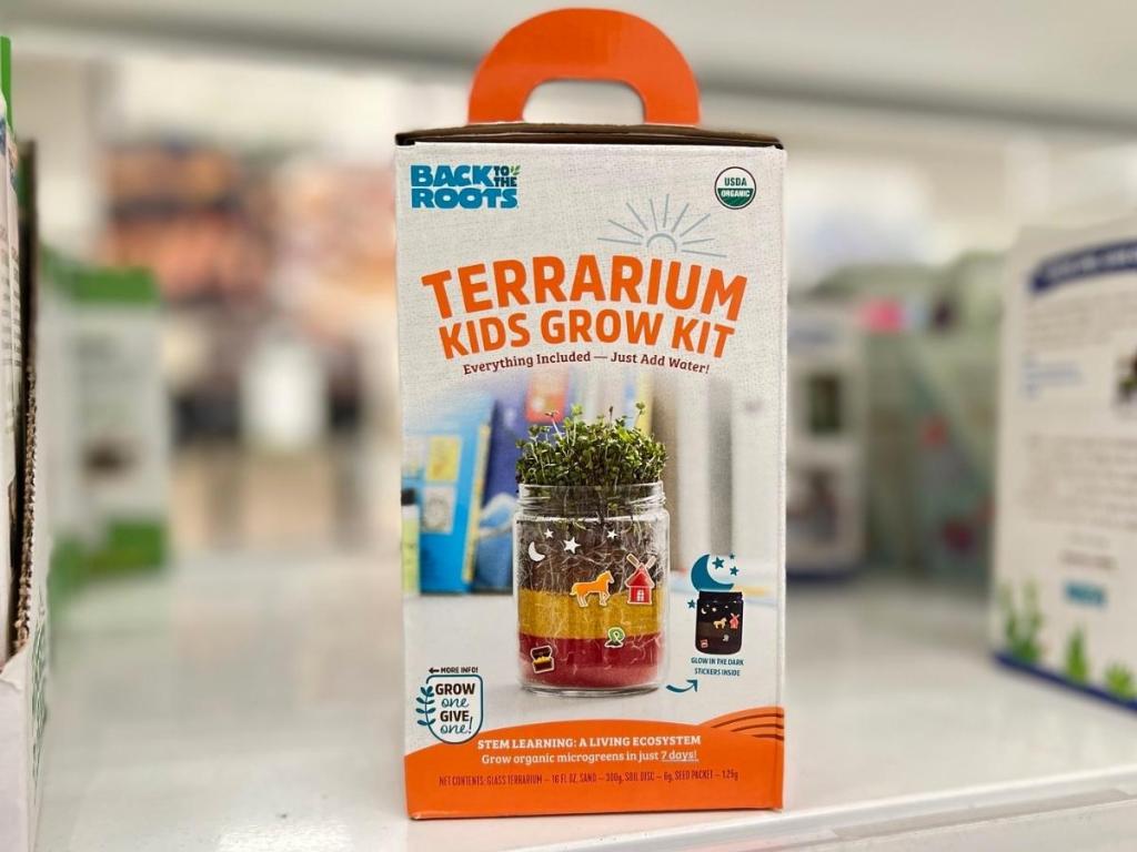 Back to the Roots Organic Terrarium Kids Grow Kit