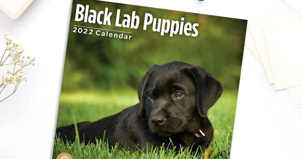black lab puppies 2022 wall calendar cover