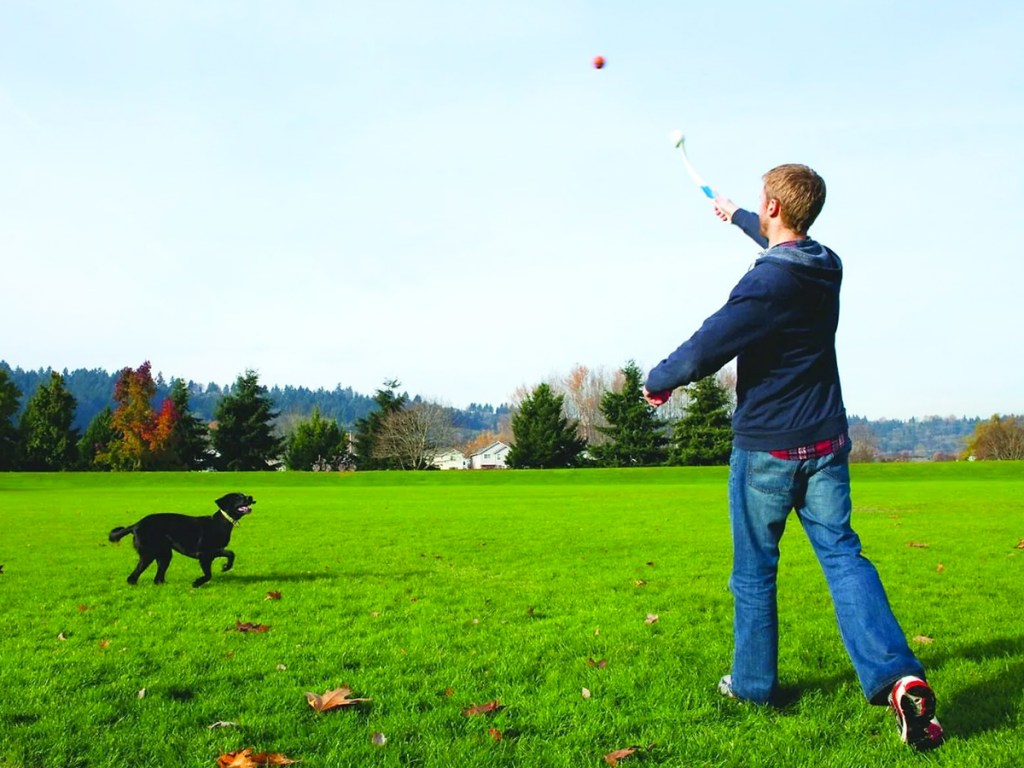 man playing fetch with dog in a field using a white chuckit ball launcher