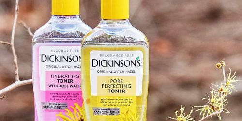 Dickinson’s Witch Hazel Toners from $3.71 Shipped on Amazon (Regularly $8)