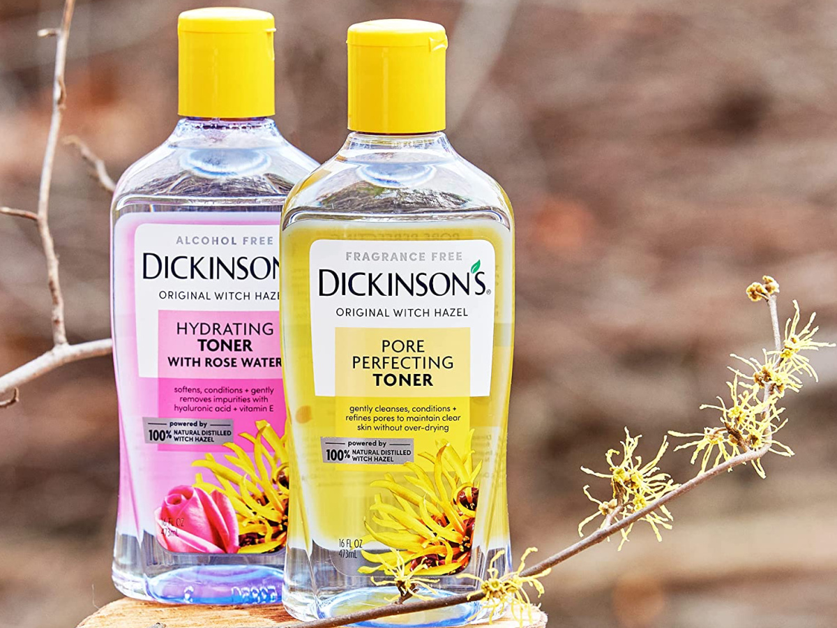 two bottles of Dickinsons toners on a rock with a thin branch