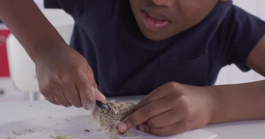 boy digging in a fossil rock