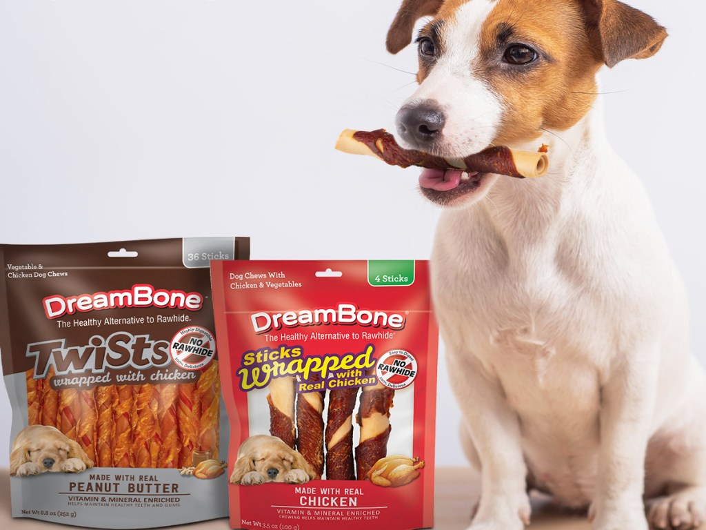 dog sitting next to two bags of dreambones with treat in his mouth