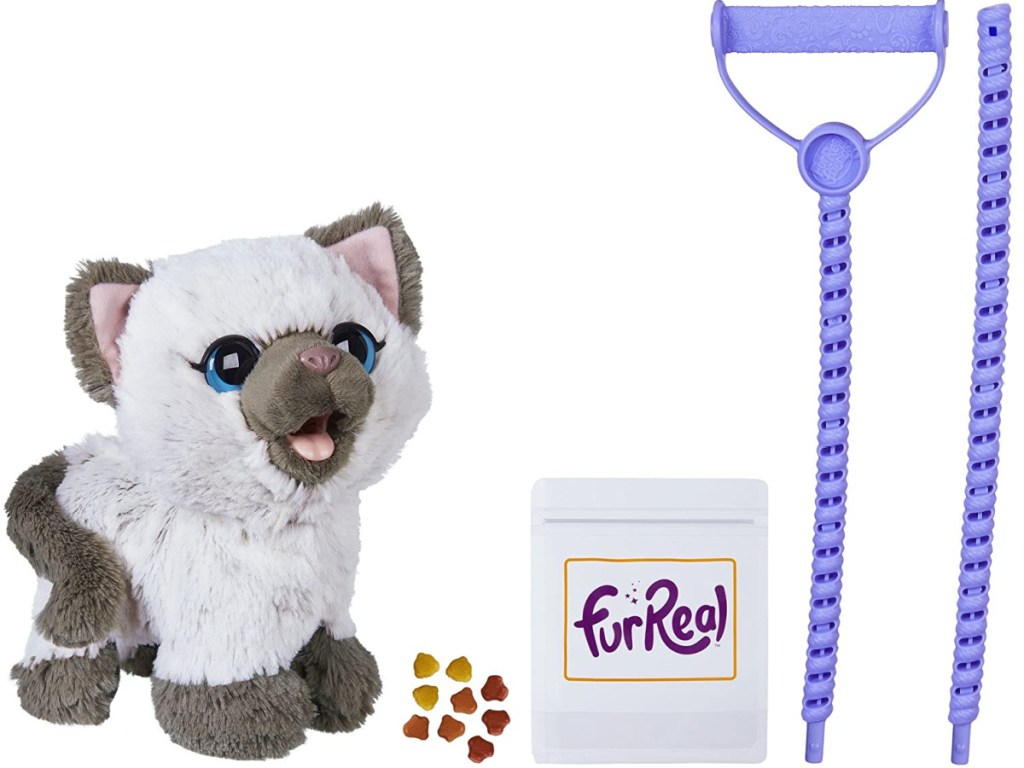 interactive kitten toy and accessories