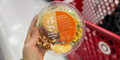 Good & Gather Salad Bowls and Kits from $2.62 Each at Target | Easy Lunch Idea
