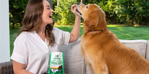 *HOT* Greenies Supplements for Dogs ONLY $3 Shipped on Amazon (Regularly $15)