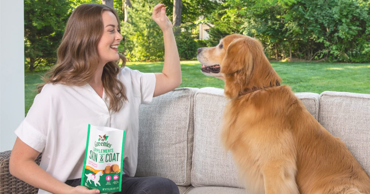 woman on couch feeding dog treat