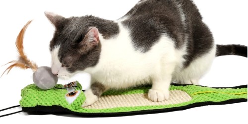 Hartz Cat Toy & Catnip Only $6.92 on Amazon or Walmart.com (Regularly $10)