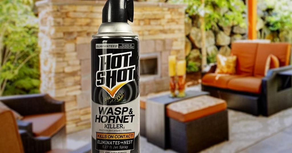 hot shot wasp and hornet killer spray outside