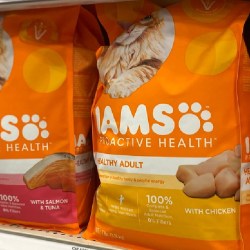 IAMS Proactive Health Cat Food 22-Pound Bag Only $20.58 Shipped on Amazon (Regularly $34)