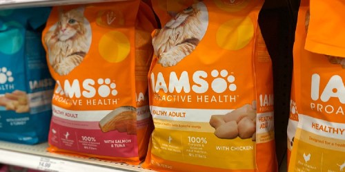 Up to 50% Off IAMS Proactive Health Dry Cat Food + Free Shipping on Amazon
