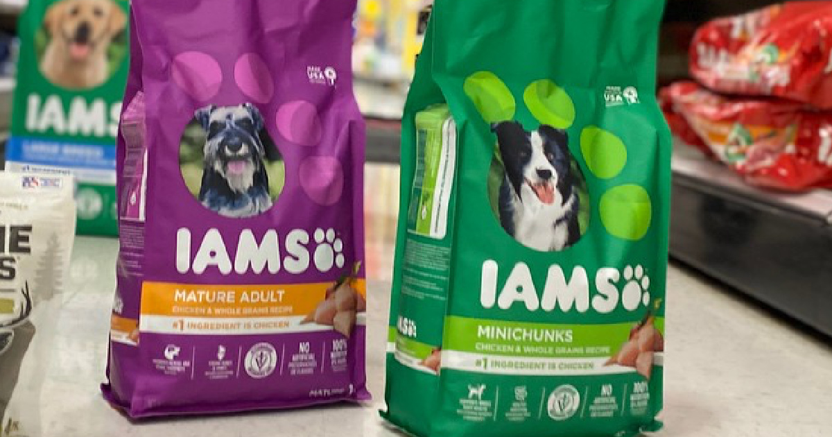 amazon prime iams dog food