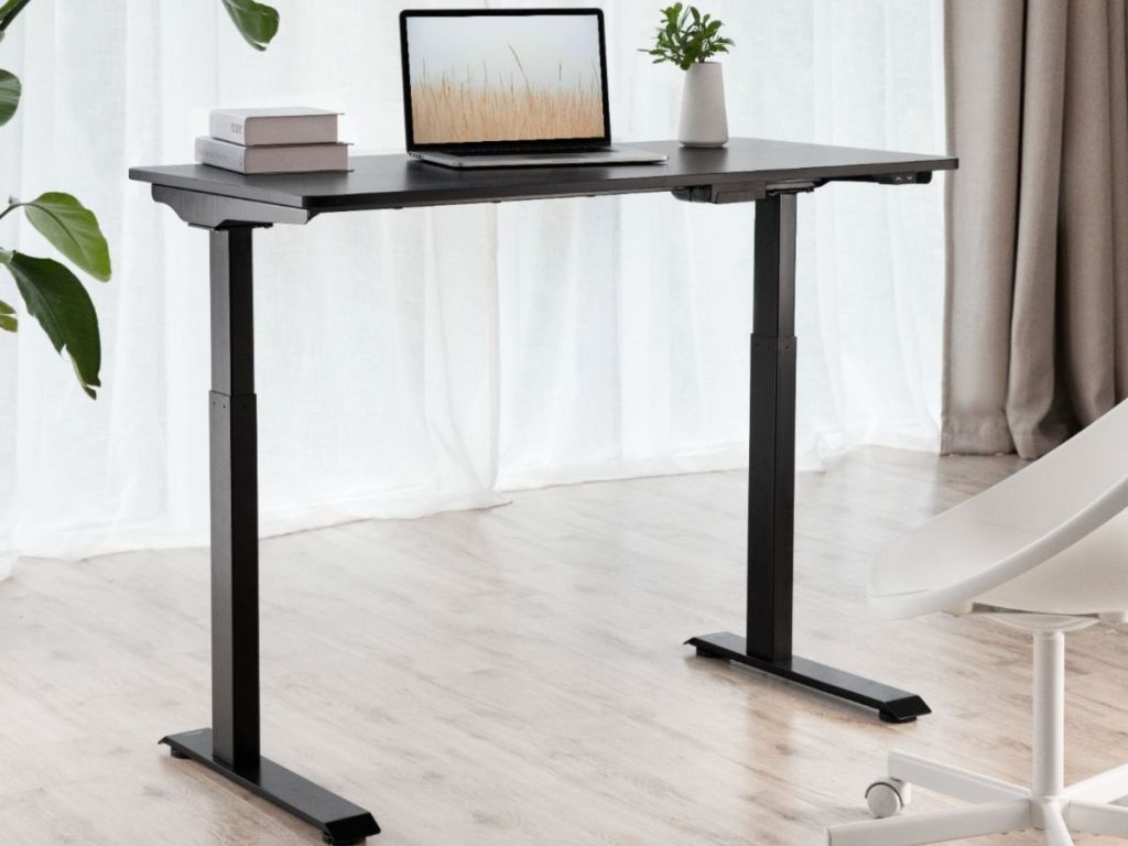 Adjustable Standing Desk with books laptop and plant placed on it