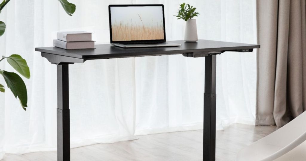 Adjustable Standing Desk with books laptop and plant placed on it