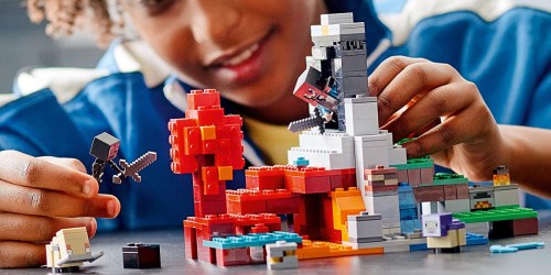 LEGO Minecraft Sets from $24 on Amazon or Walmart.com