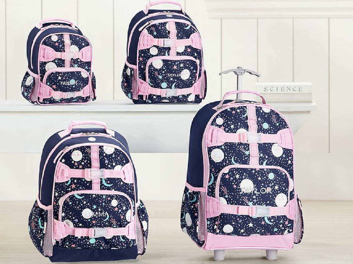 pottery barn puppy backpack