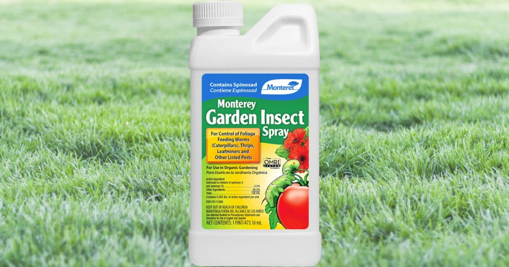 Monterey Garden Insecticide & Pesticide with Spinosad Concentrate Spray 16oz