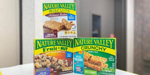 TWO Nature Valley Granola Bars 6-Packs Only $2.24 (Just $1.12 Per Box) on Walgreens.com