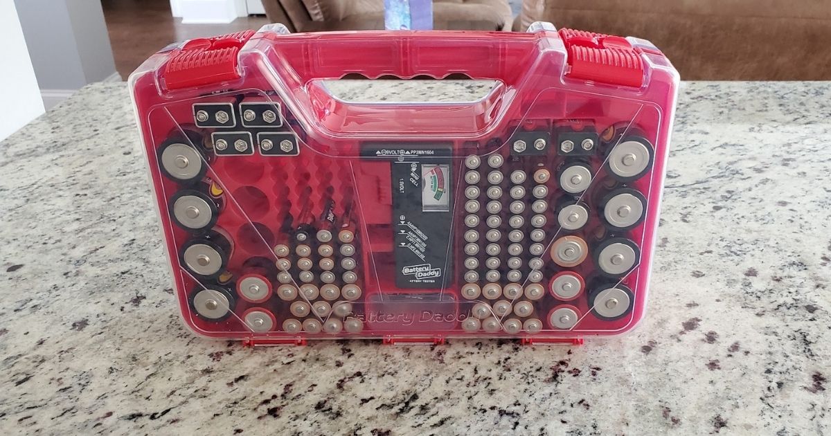 Battery organizer filled with batteries