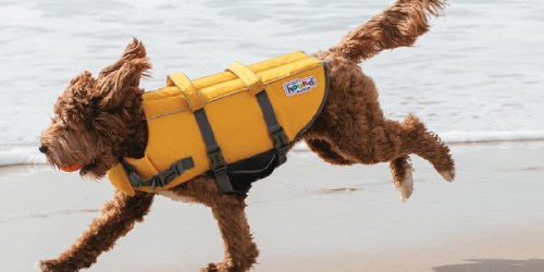 Outward Hound Dog Life Jacket Only $13.37 on Amazon (Regularly $35)