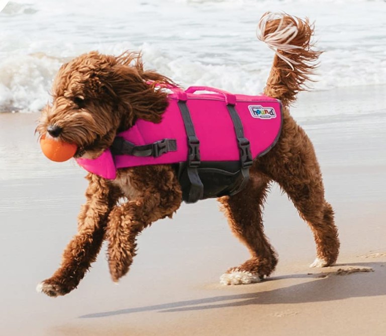Medium Granby Splash By Outward Hound X-Large Dog Life Jacket