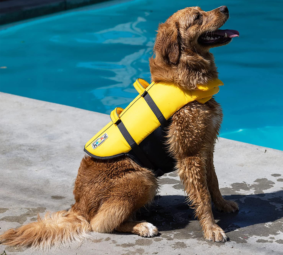 Outward Hound Dog Life Jackets from 8.84 on Amazon (Regularly 16
