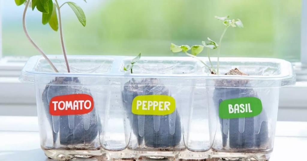 creativity for kids pizza garden kit plants growing