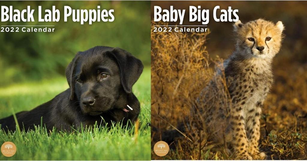 black lab puppies and baby big cats wall calendars
