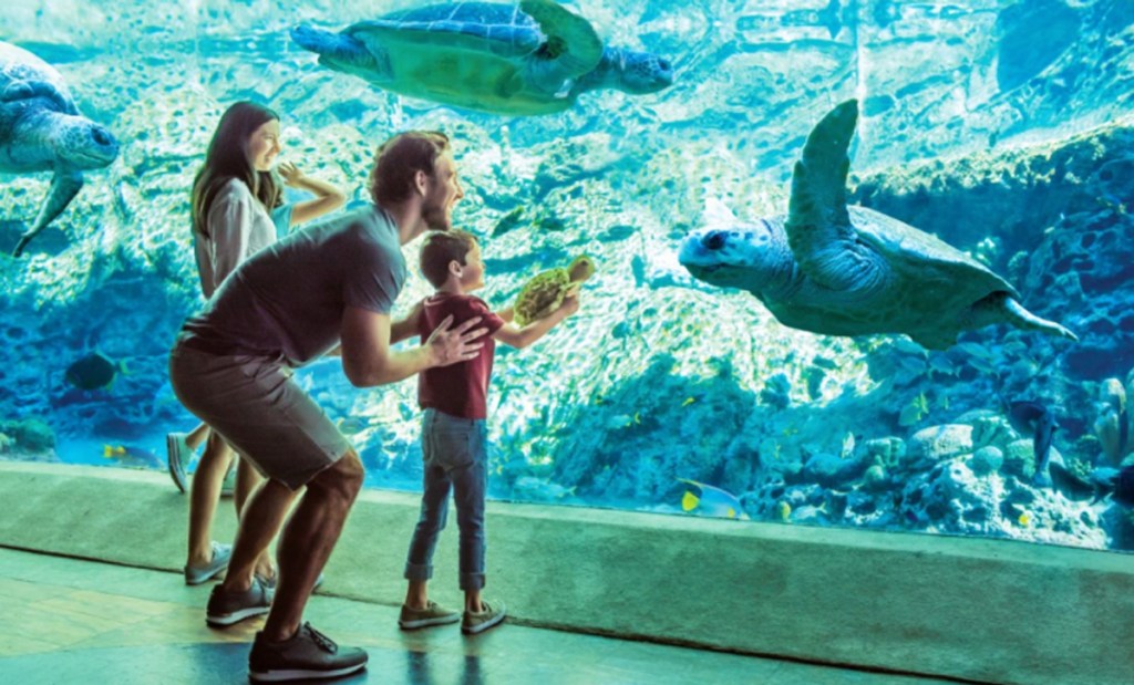 Get FREE SeaWorld Military Tickets Through Waves Of Honor