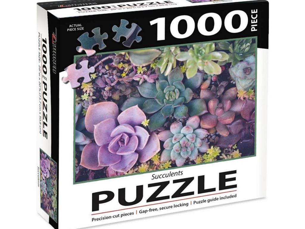 succulents 1,000 piece puzzle box